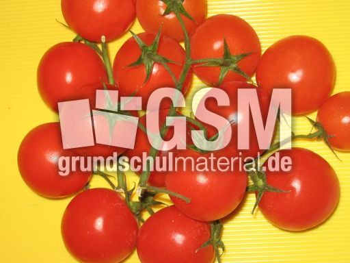 Ministrauchtomaten.JPG